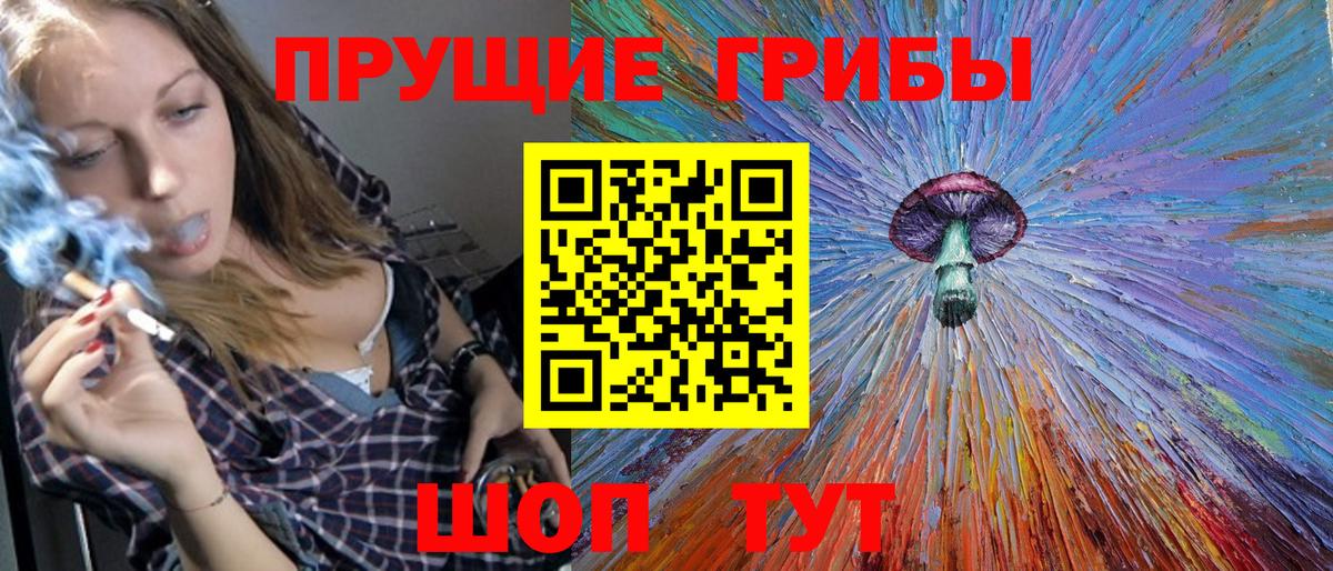цена наркотик  Псилоцибиновые грибы Psilocybe  Вход с VPN  Новозыбков 