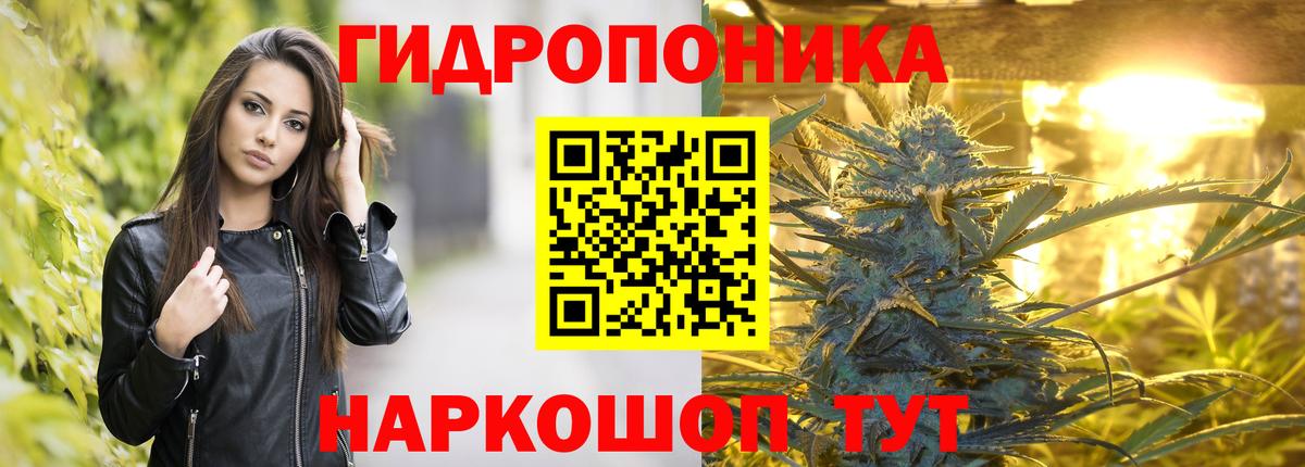 Марихуана MAZAR Новозыбков